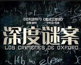 断林镇谜案 第八季,迷雾重重的复仇之谜