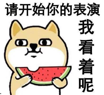 督军，你家奶团子又锦鲤附体了,督军家奶团子再展锦鲤神迹