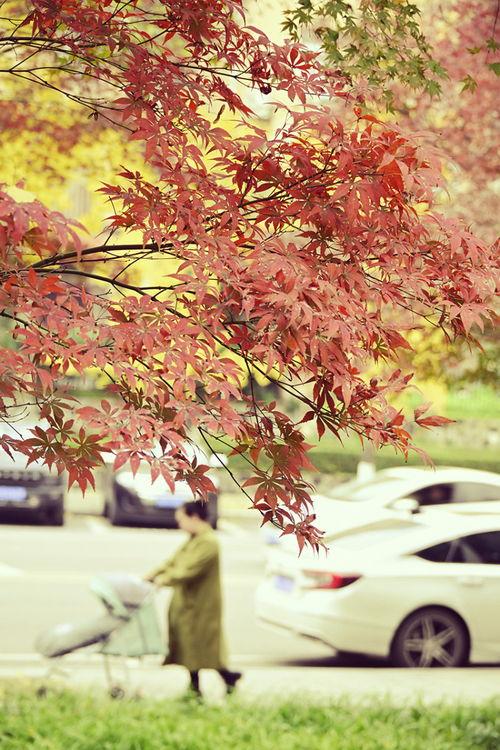 似火 2025,展望未来科技与创新的燎原之势