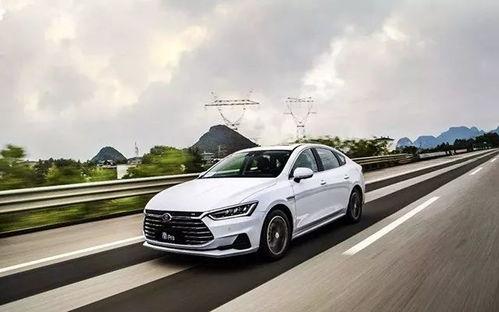 我带四宝破历总十代单传,传承千年的十代单传神秘秘籍